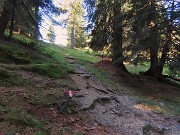 Rif. Alpe Cantedoldo (1500 m) dal Ponte dell’acqua via Gambetta -11 settembre 2023- FOTOGALLERY